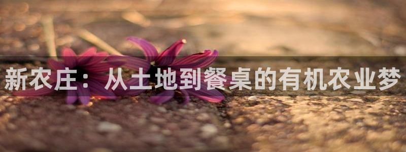 天辰娱乐分红