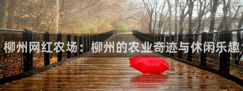 天辰app娱乐