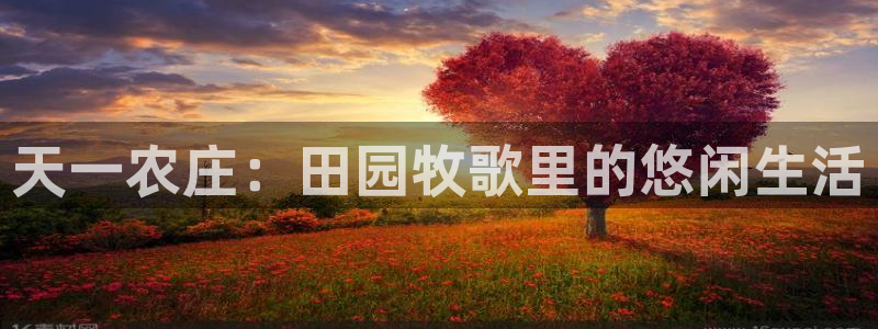 天辰娱乐官网