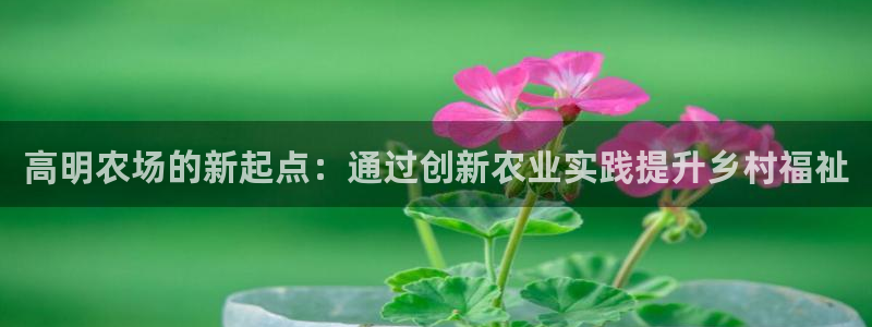 天辰娱乐首选