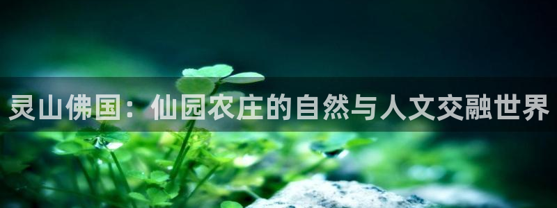 天辰娱乐39596