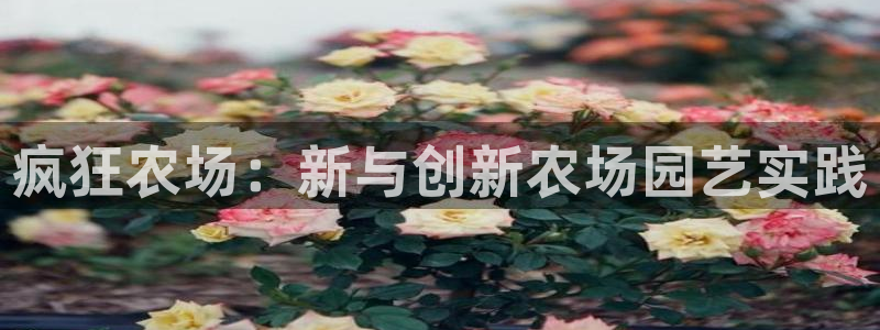 天辰娱乐 . 鱼刺