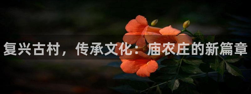 天辰娱乐指定