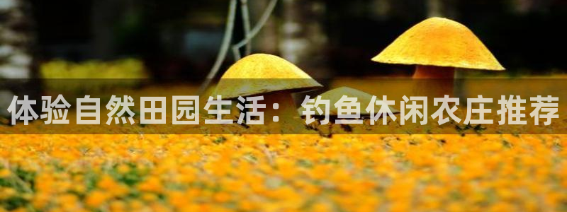 天辰娱乐675138