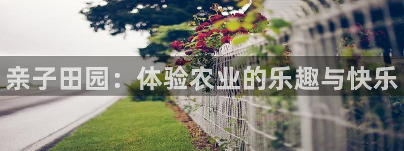 天辰娱乐tff