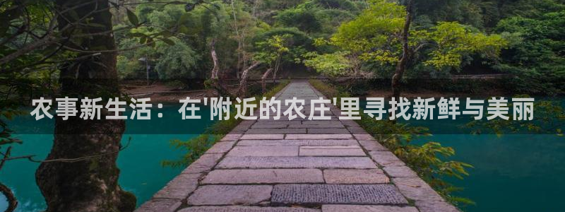 天辰娱乐44616