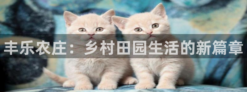 天辰娱乐app