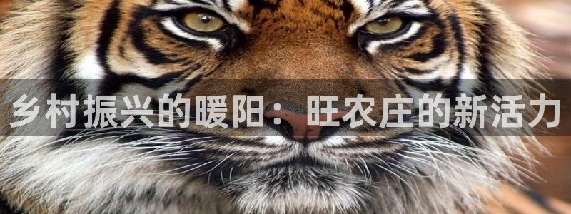天辰娱乐欢乐