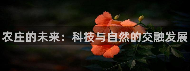 天辰娱乐557696