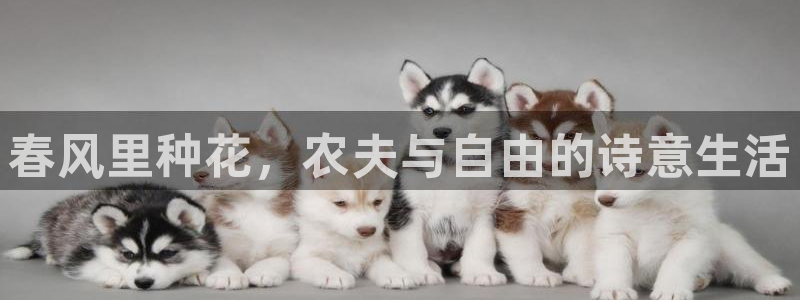 天辰娱乐平台