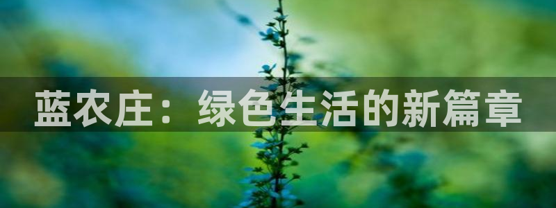 天辰娱乐675138