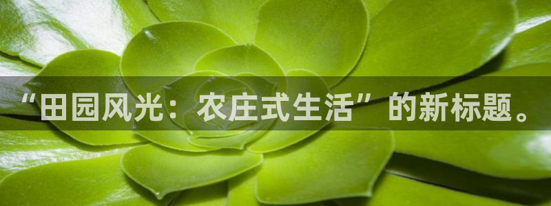 天辰娱乐指定