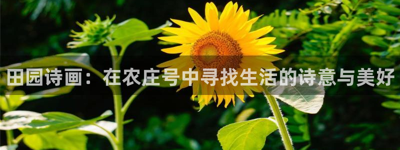 天辰娱乐待遇