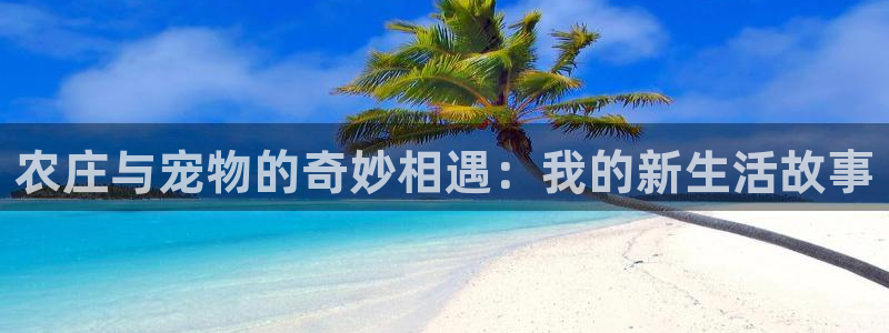 天辰娱乐 231639