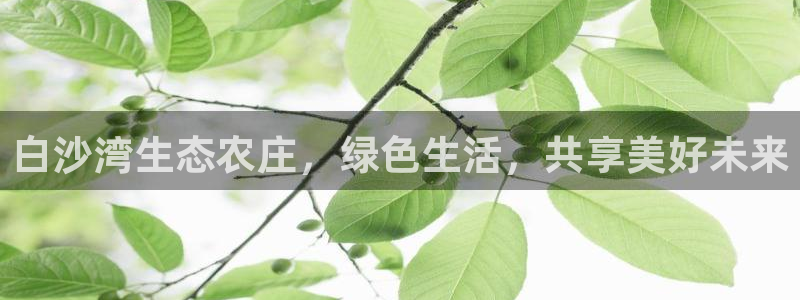 天辰娱乐鱼刺