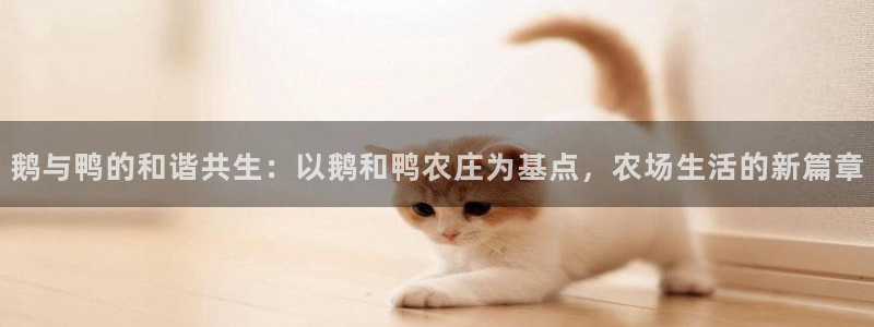 天辰娱乐国际