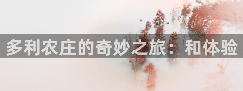天辰2娱乐