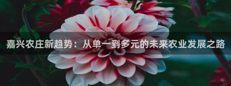 天辰娱乐39974神