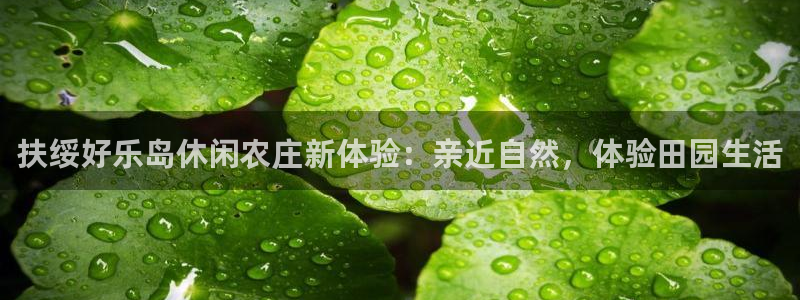 天辰娱乐信誉