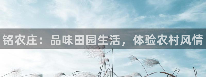 天辰娱乐黑人