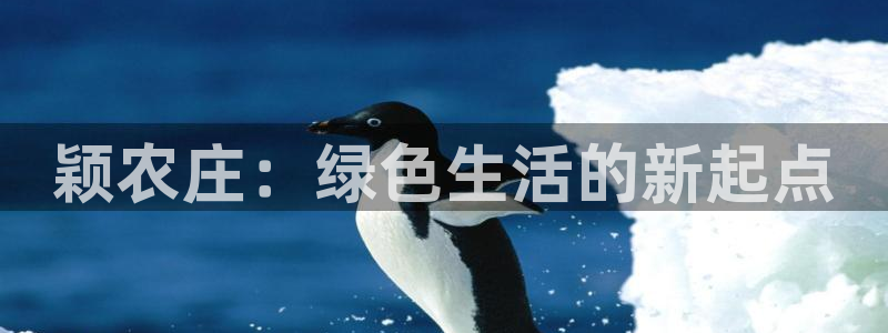 天辰娱乐卡