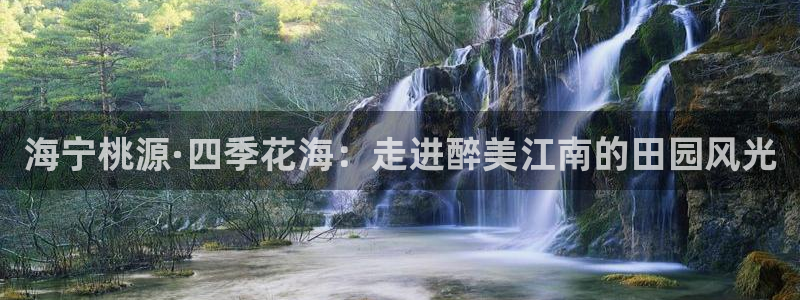 天辰天辰娱乐