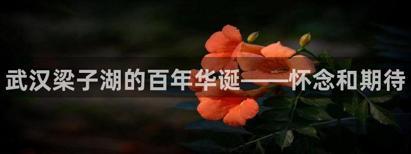 天辰娱乐电话