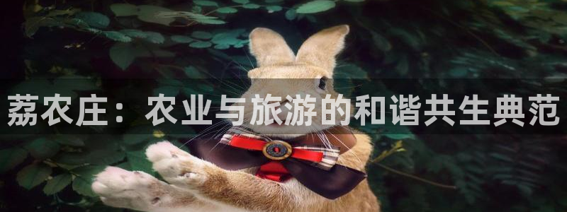 天辰娱乐地址