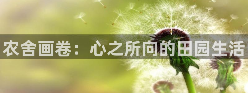 辰天娱乐