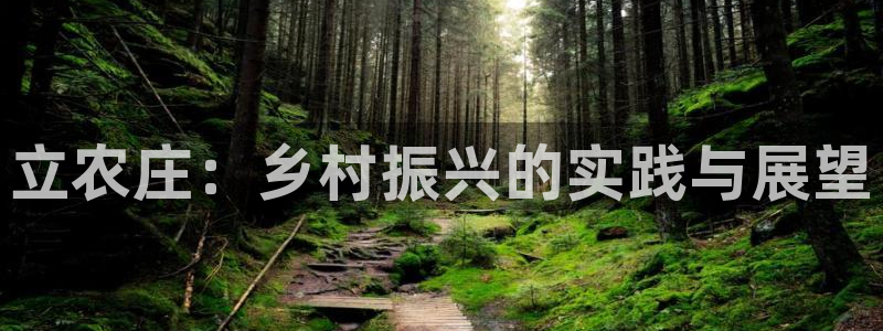 天辰国际娱乐