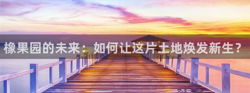 天辰宝娱乐