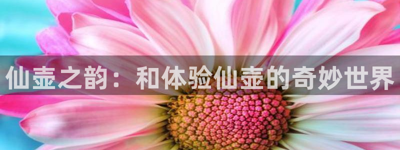 天辰娱乐总管年薪