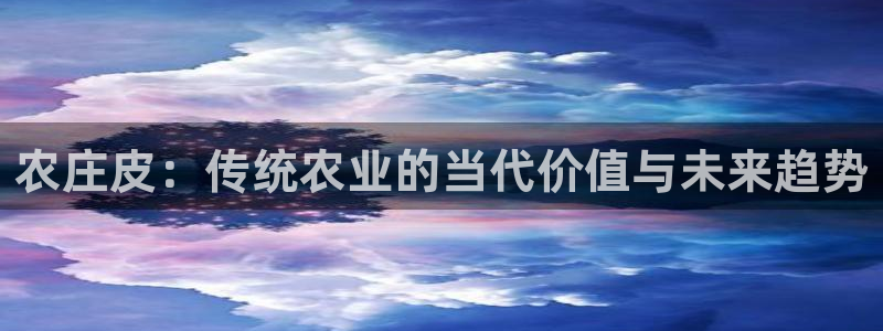 天辰娱乐分红