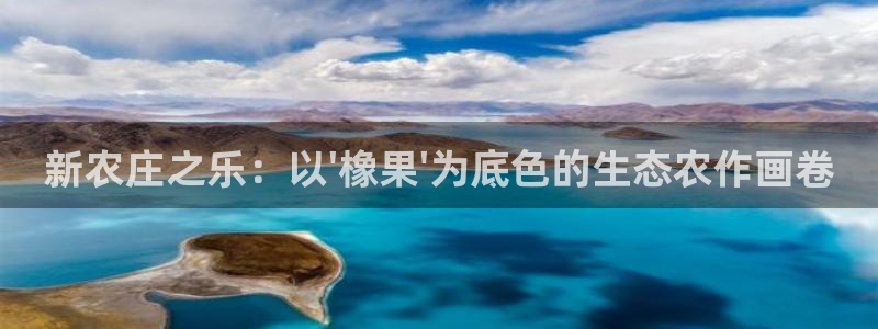 天辰娱乐 849852