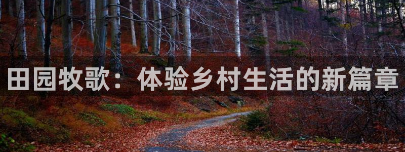 天辰娱乐电话