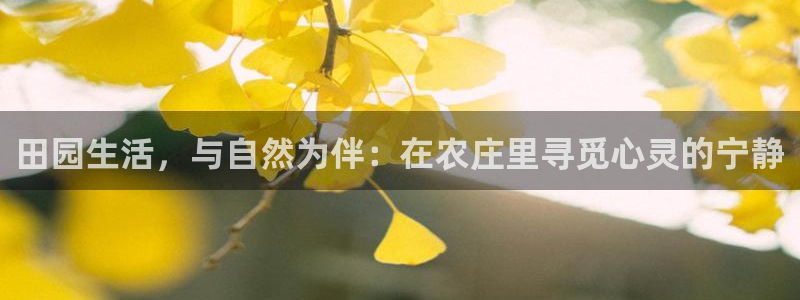 天富娱乐天辰娱乐