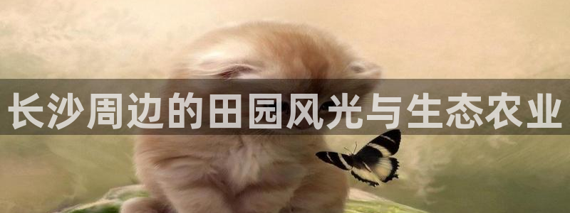 天辰娱乐 首选