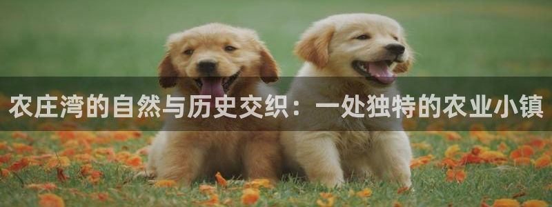 天辰娱乐平台