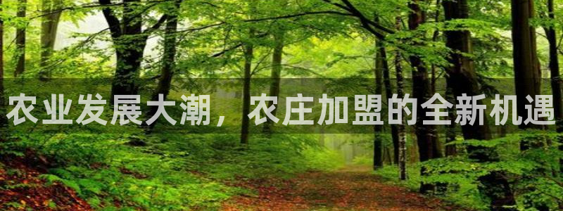 天辰娱乐平台娱乐注册