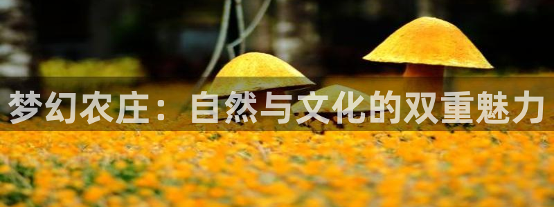 天辰娱乐会员