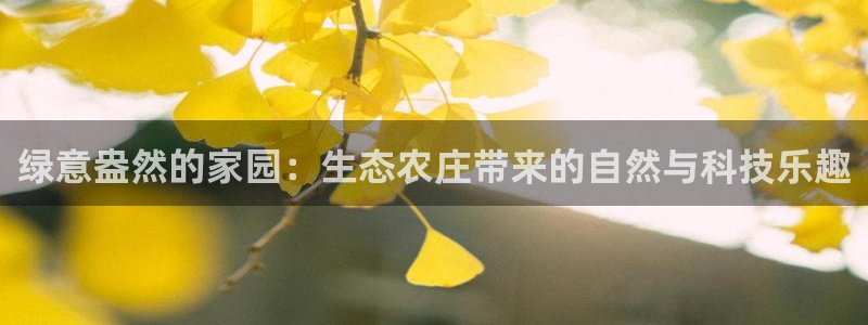 北京天辰娱乐