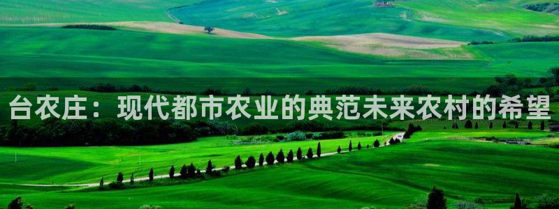 天辰国际娱乐