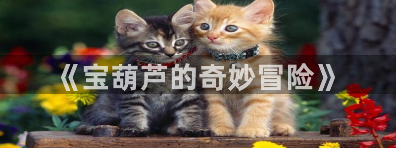 天辰娱乐 主管