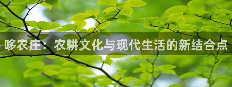 天辰app娱乐