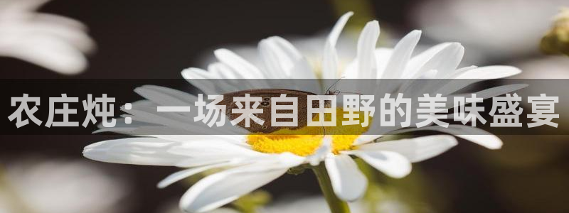 天辰娱乐天辰宝