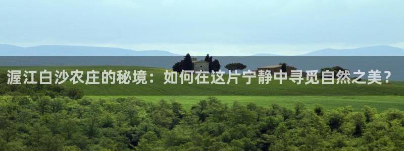 天辰娱乐分红