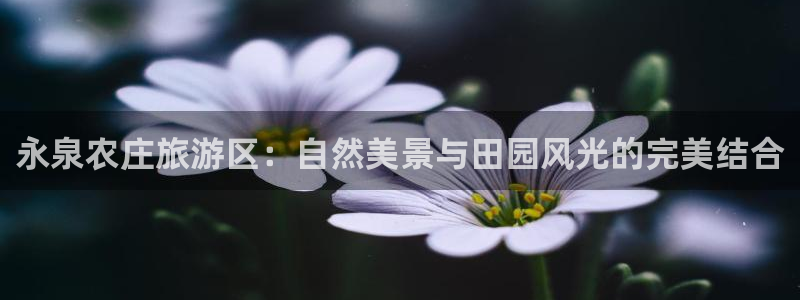 天辰娱乐44516