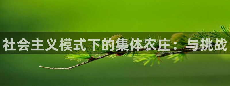 天辰娱乐登录网址