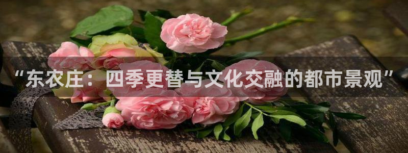 天辰娱乐官方网