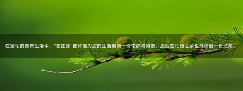 天辰娱乐60447